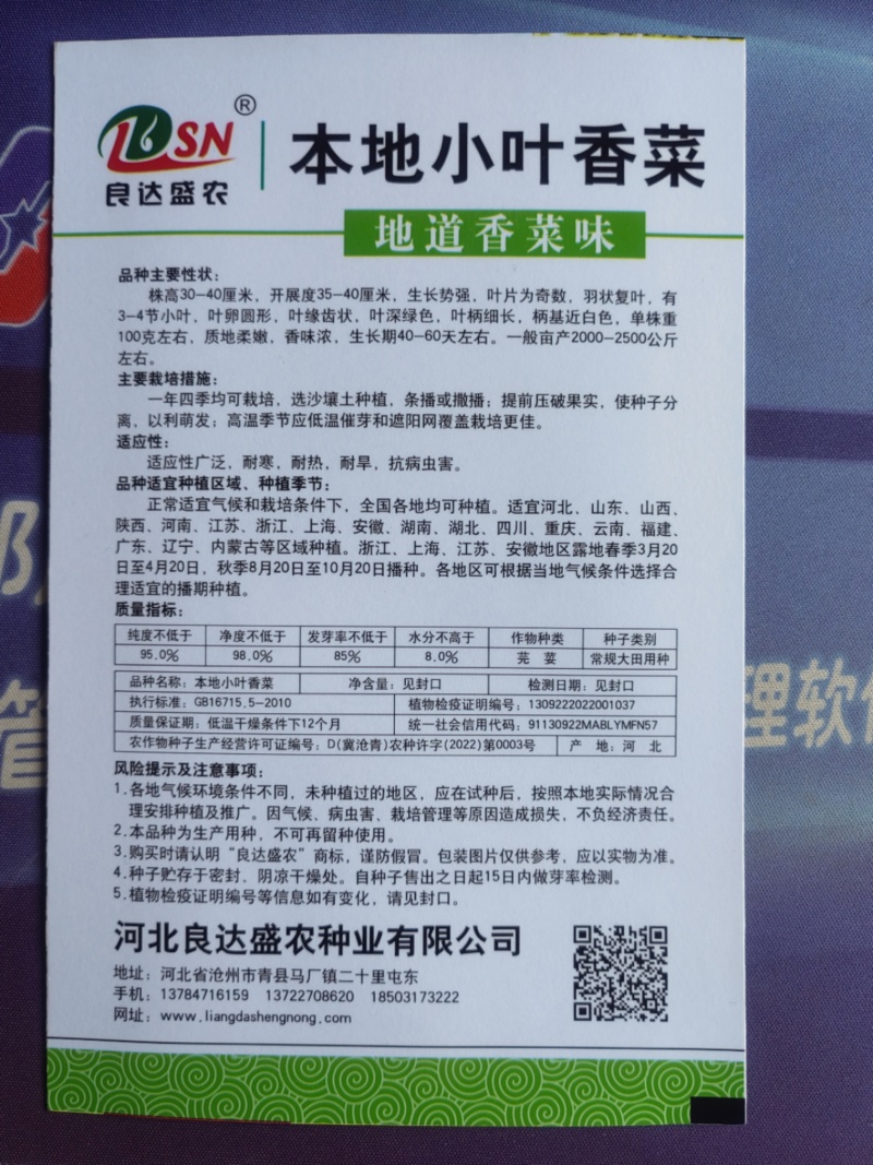 本地小叶香菜种子地道香菜味四季种植香味浓质地柔软