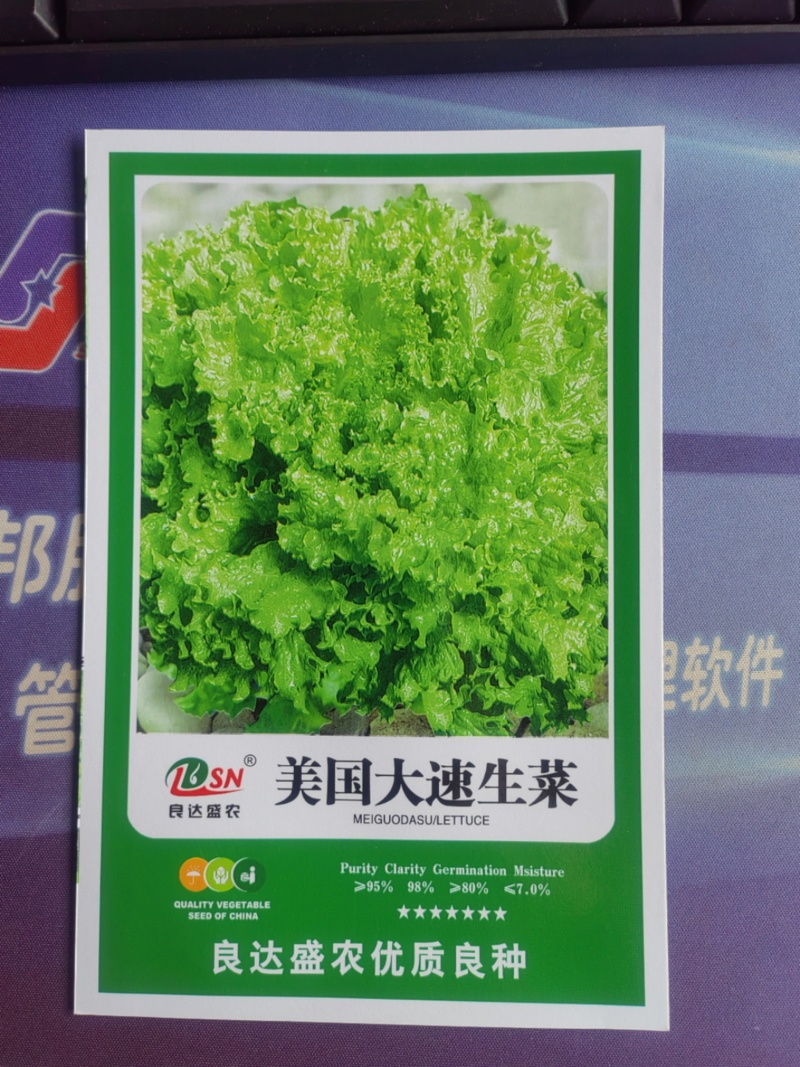 美国大速生菜种子生长速度快叶片松散颜色嫩绿适应性广