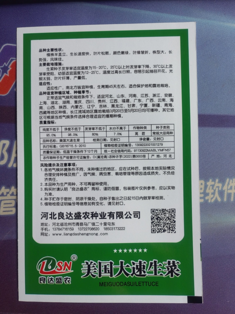 美国大速生菜种子生长速度快叶片松散颜色嫩绿适应性广