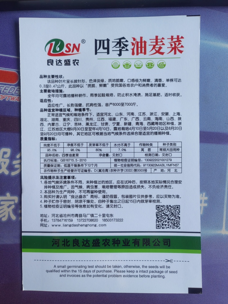 四季油麦菜种子质地脆嫩口感鲜嫩清香适应性广长势强健