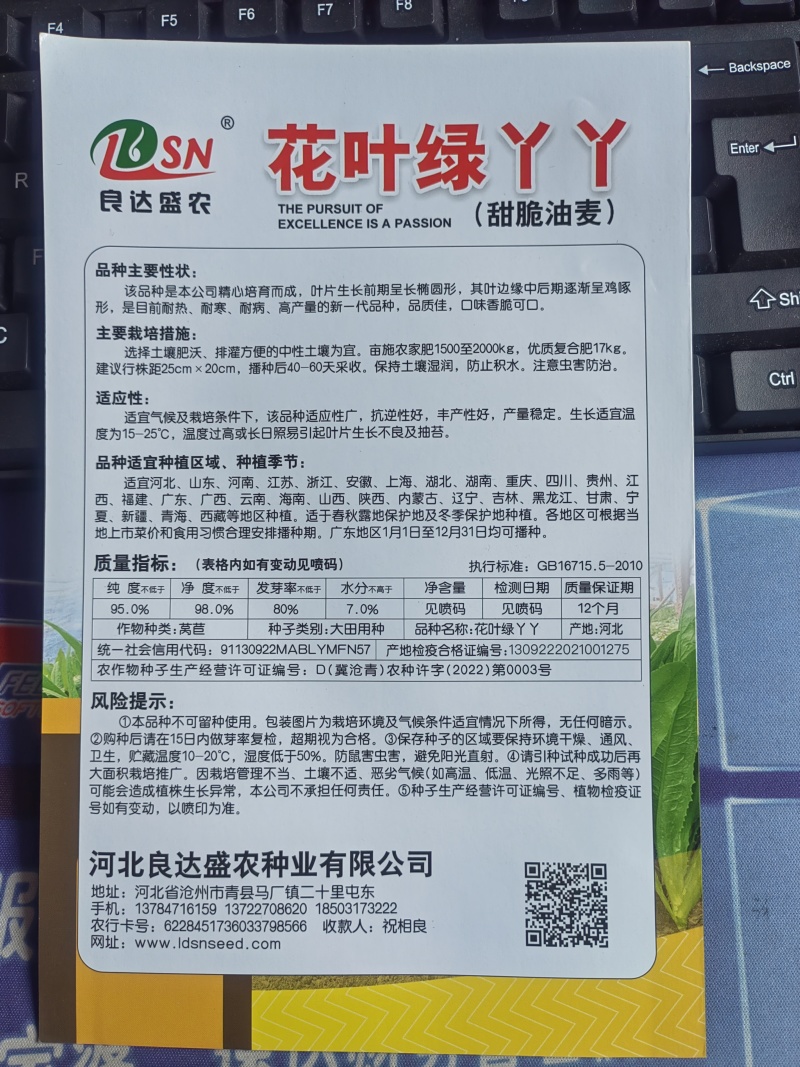 花叶绿丫丫油麦菜种子甜脆口味香脆可口耐热耐寒高产