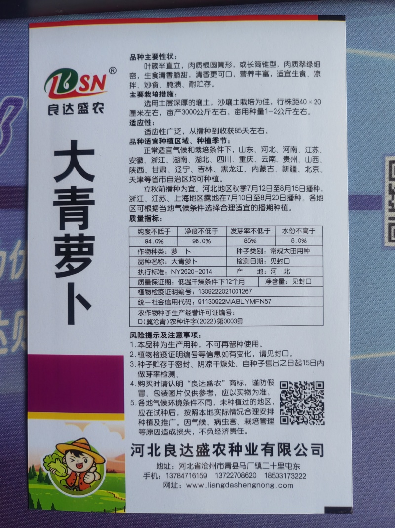 大青萝卜种子肉质翠绿细密清香甜脆清香可口营养丰富耐贮存