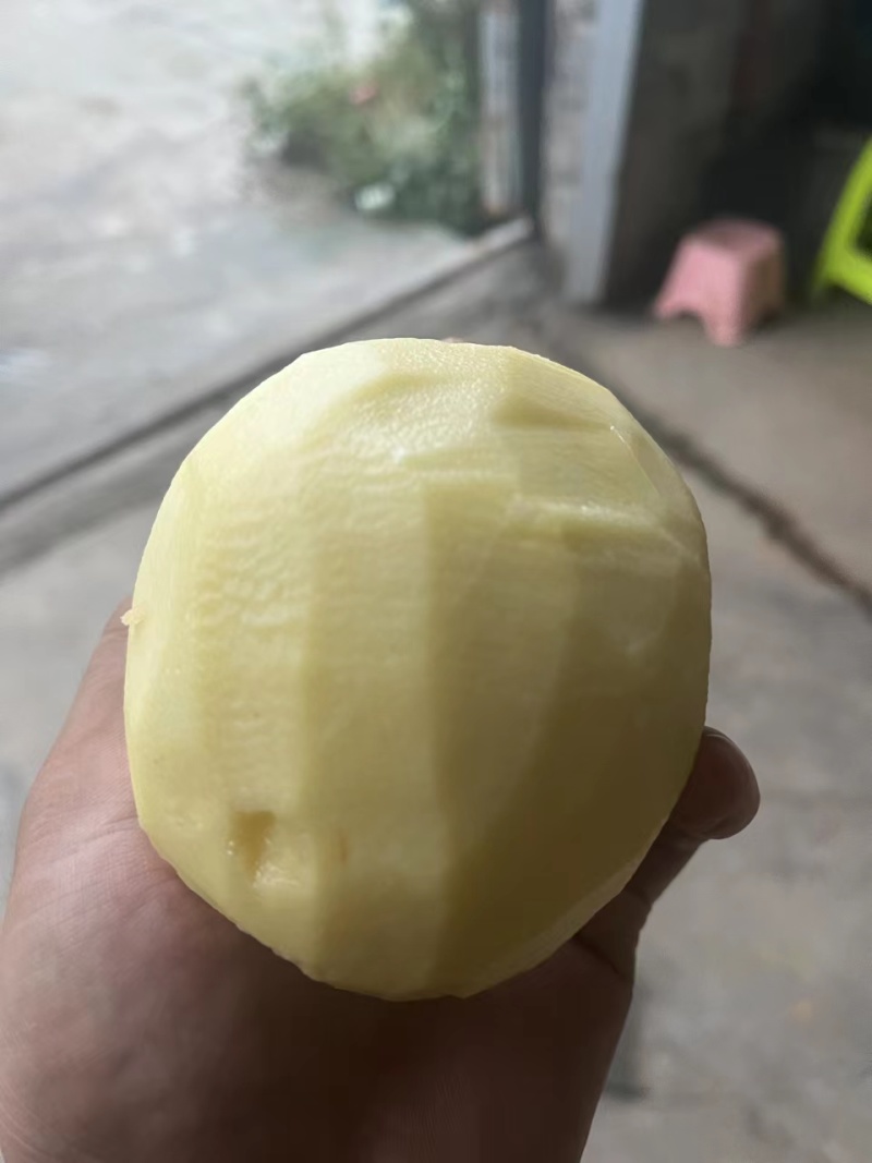黄心土豆贵州土豆蔬菜基地欢迎各地老板联系