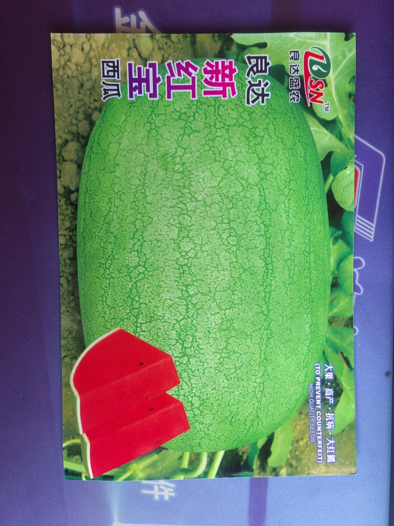 良达新红宝西瓜种子大果高产抗病大红瓤质脆味佳皮薄耐贮运