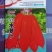 501水萝卜种子肉质甜而脆早熟品种脆嫩不糠心品质优良