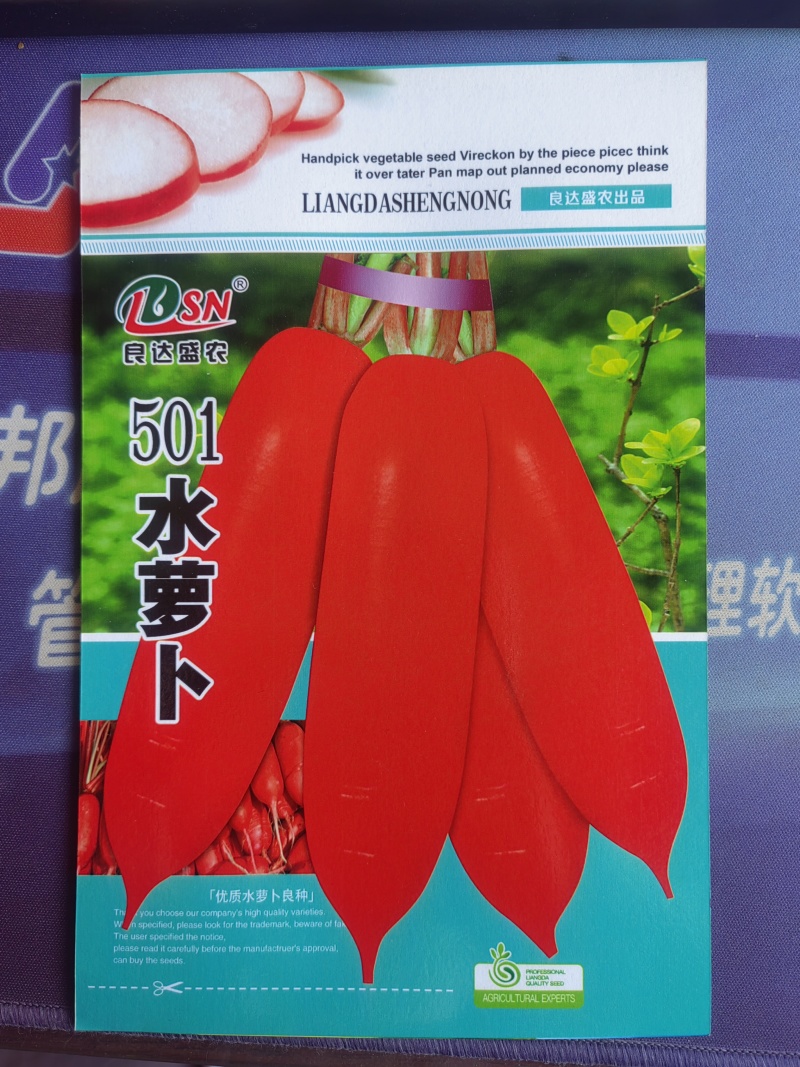 501水萝卜种子肉质甜而脆早熟品种脆嫩不糠心品质优良