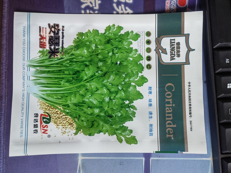 安瑟米香菜种子耐寒味香速生耐抽苔纤维少抗热品质佳易栽培