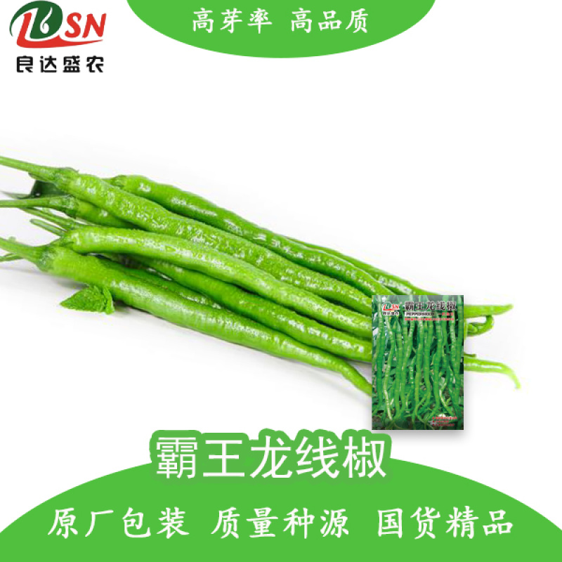 霸王龙线椒辣椒种子辣味浓中早熟耐热耐湿耐贮运产量高