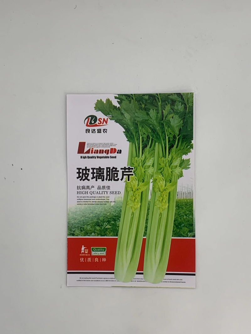 玻璃脆芹芹菜种子清脆爽口梗粗纤维少品质优良易种植适应性广
