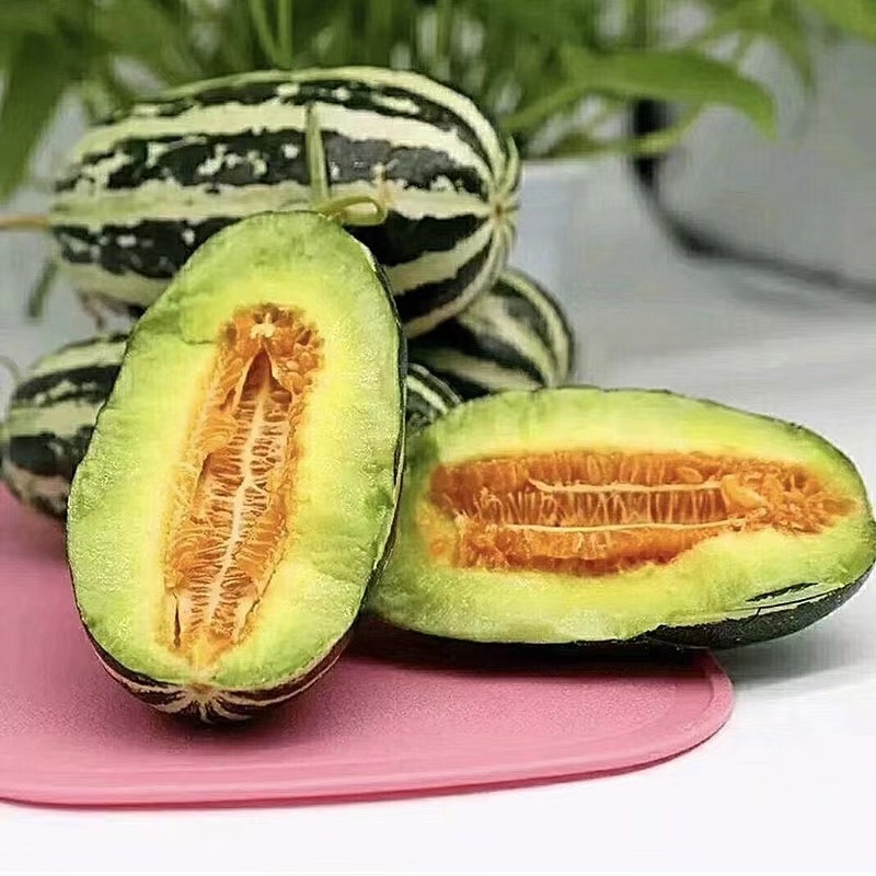 博瑞9号甜瓜种子脆嫩爽口糖分适宜易种植口感酥脆香甜