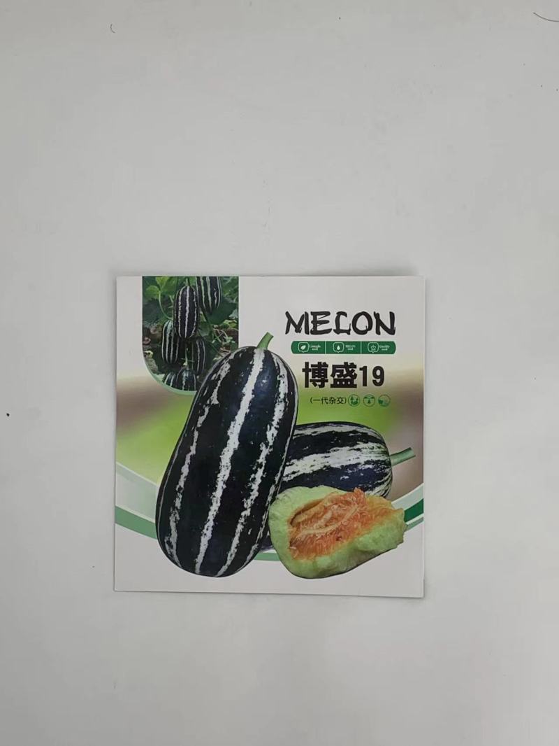 博瑞9号甜瓜种子脆嫩爽口糖分适宜易种植口感酥脆香甜