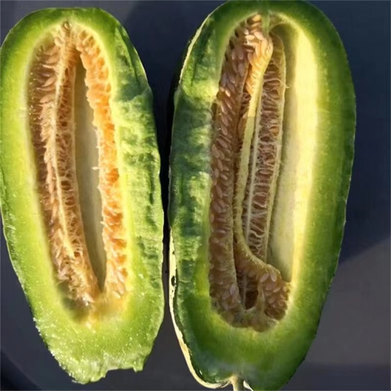 博瑞9号甜瓜种子脆嫩爽口糖分适宜易种植口感酥脆香甜