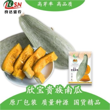 贵族南瓜种子香甜软糯耐贮运易种植生长势强全国各地均可种植