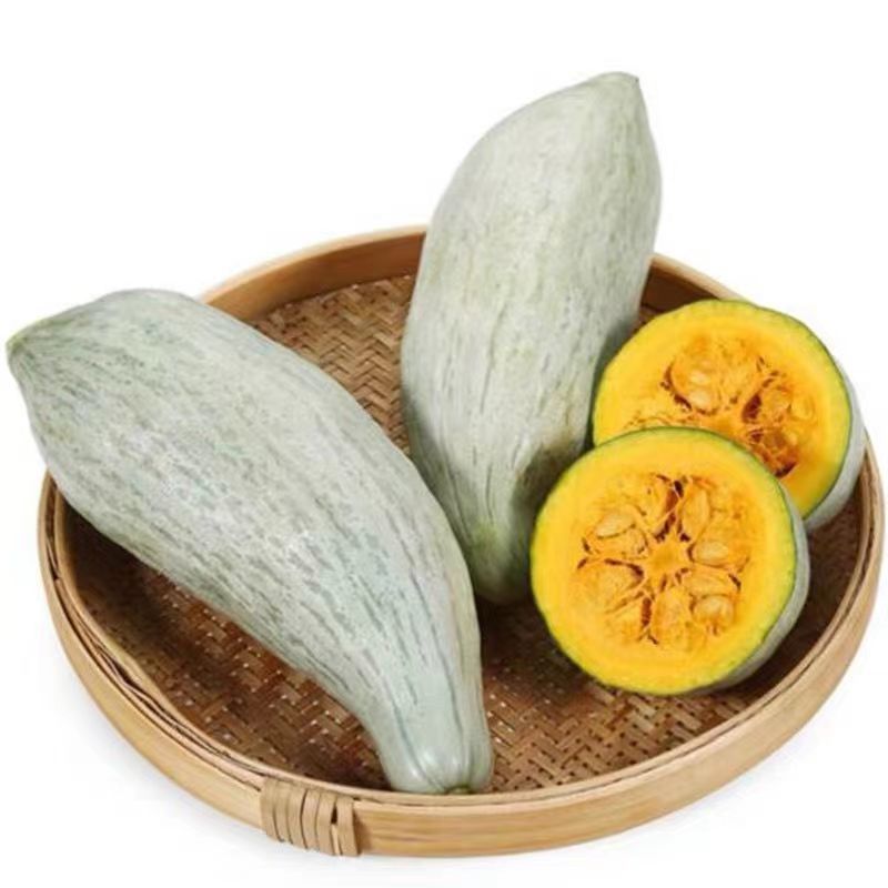 贵族南瓜种子香甜软糯耐贮运易种植生长势强全国各地均可种植