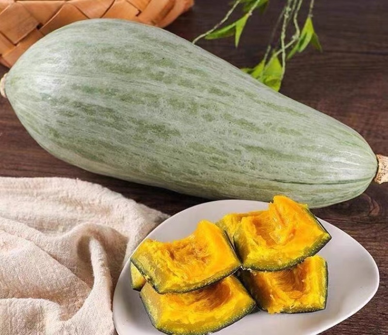 贵族南瓜种子香甜软糯耐贮运易种植生长势强全国各地均可种植