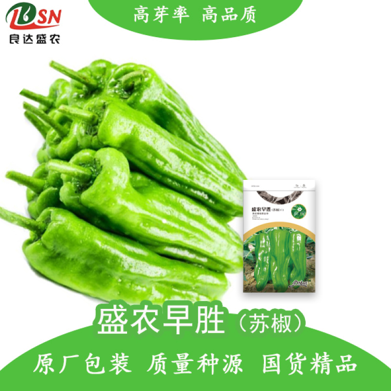 盛农早胜苏椒薄皮椒辣椒种子辣味浓易采收产量高品质优