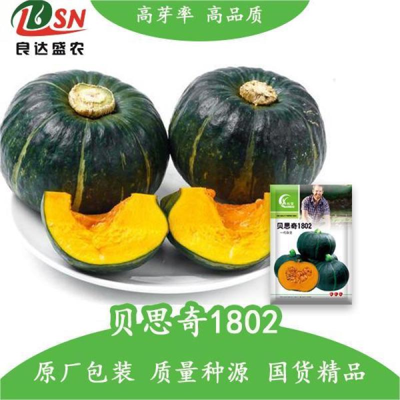 贝思奇南瓜种子雌花多易坐果果肉厚甜糯品质佳适应性广泛