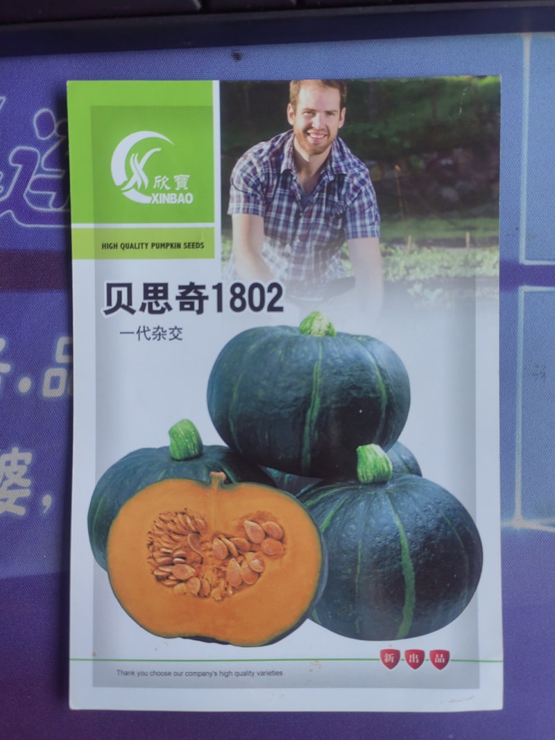 贝思奇南瓜种子雌花多易坐果果肉厚甜糯品质佳适应性广泛