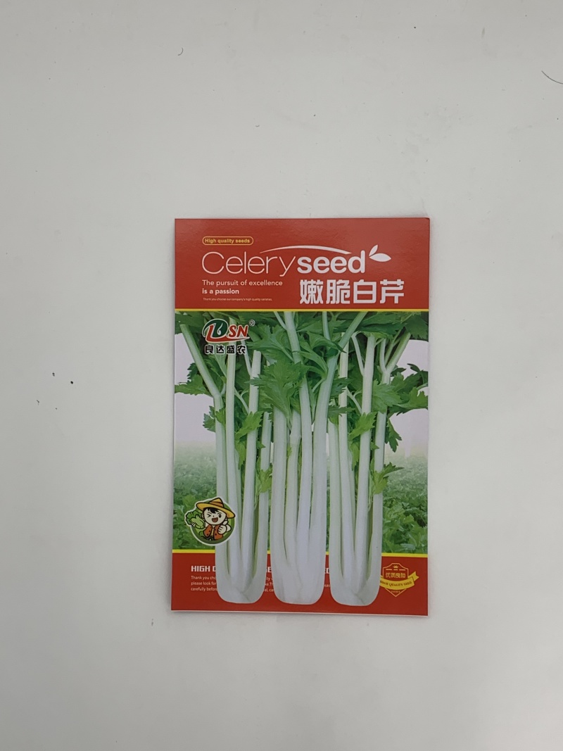 嫩脆白芹芹菜种子清脆爽口梗粗纤维少品质优良易种植适应性广