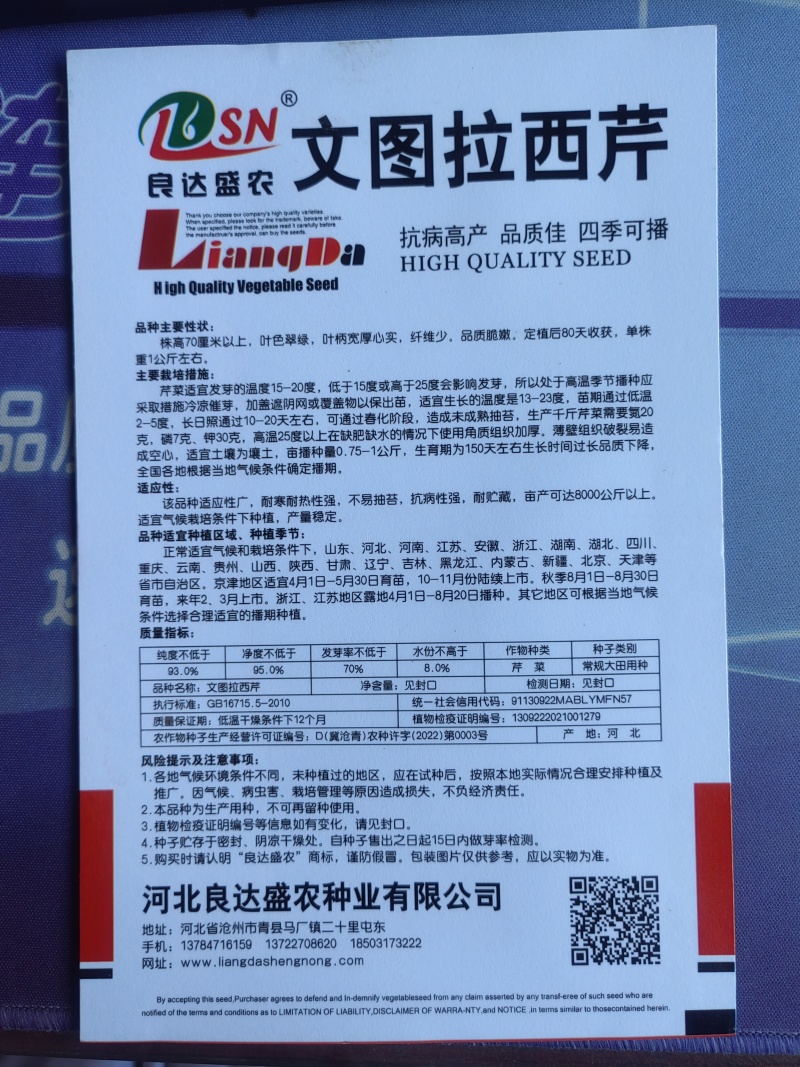 文图拉西芹芹菜种子叶柄宽厚心实纤维少品质脆嫩耐寒耐热