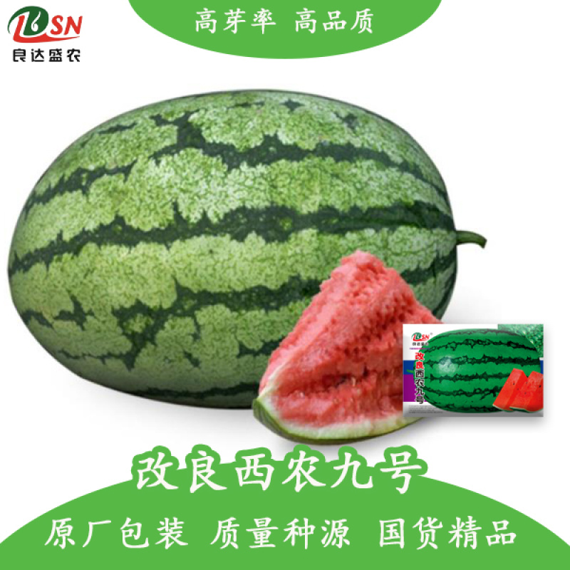 改良西农九号西瓜种子红壤汁水多糖度高耐贮运易种植好管理