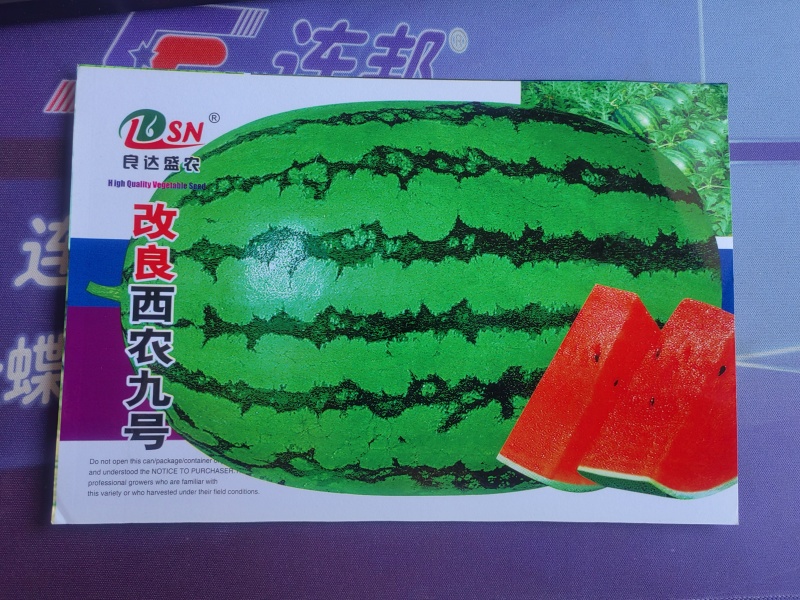 改良西农九号西瓜种子红壤汁水多糖度高耐贮运易种植好管理