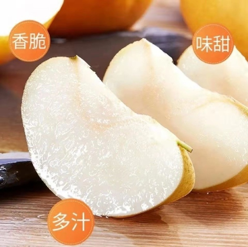 精品晚秋黄梨基地直供一手货源品质保证诚信经营欢迎采购