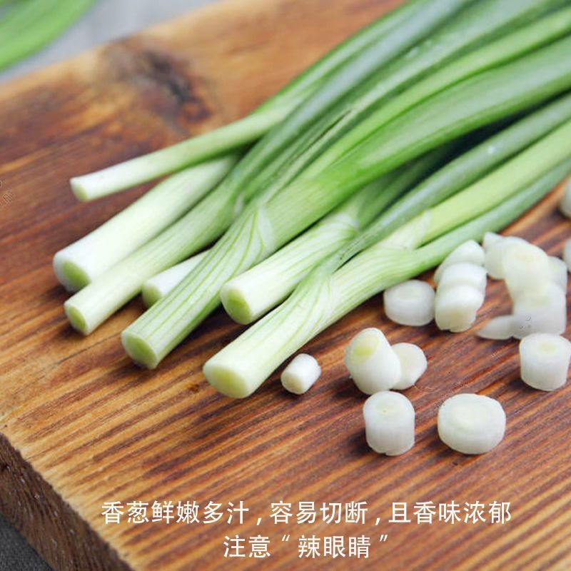 刚精品小刚葱，香葱，四季小葱，一手货源，大量有货