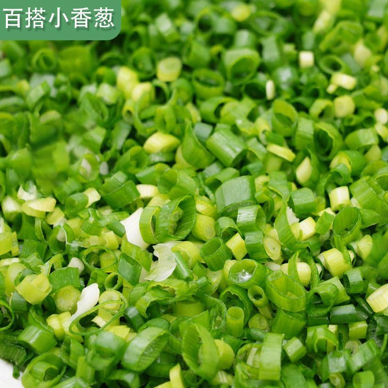 刚精品小刚葱，香葱，四季小葱，一手货源，大量有货