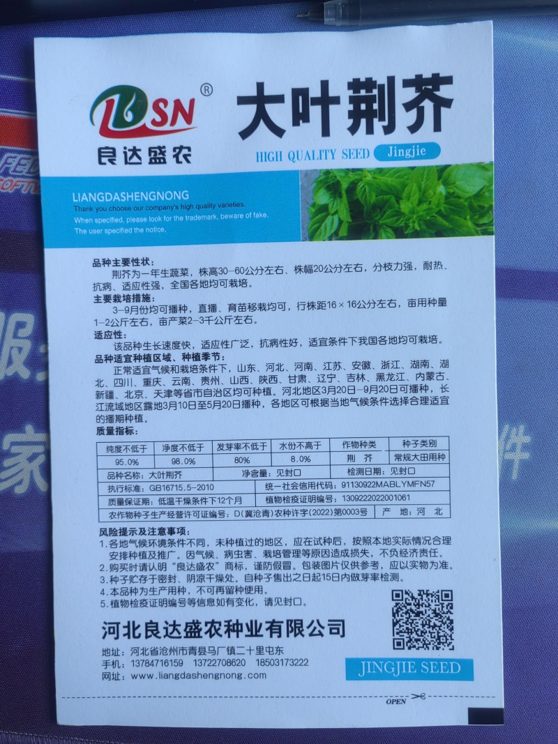 大叶荆芥种子分枝能力强耐热抗病适应性强生长速度快易种植