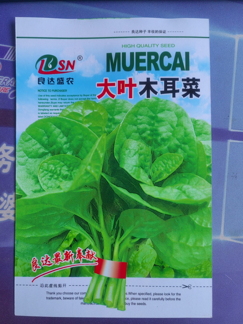 大叶木耳菜种子生长势强分支能力强肉肥厚细嫩多汁味鲜美耐热
