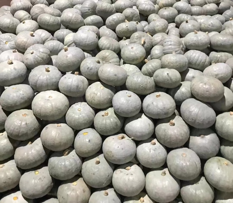 【精品】山东潍坊银粟南瓜南瓜品质保证货源充足
