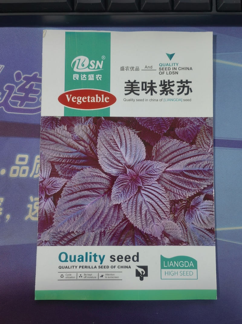紫苏种子耐湿耐涝易种植好管理生长势强适应性广