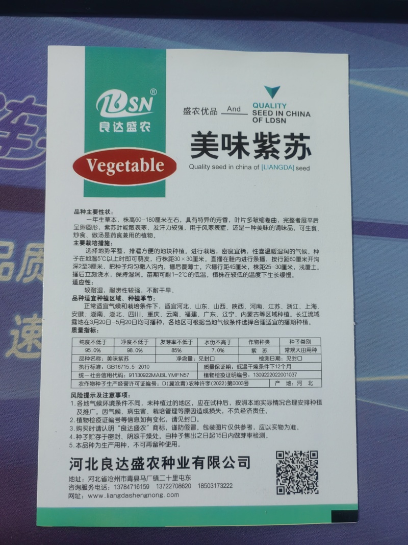 紫苏种子耐湿耐涝易种植好管理生长势强适应性广