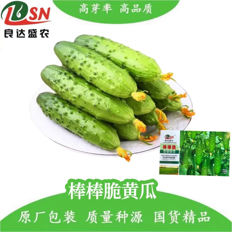 棒棒脆水果黄瓜种子结瓜多抗病强产量高脆嫩味甜生长速度快
