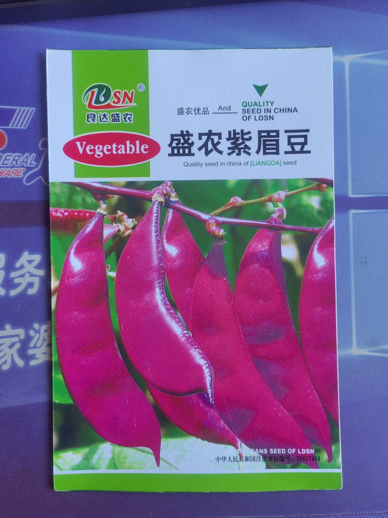 盛农紫眉豆种子嫩荚紫红色镰刀形早熟耐热耐瘠优质良种