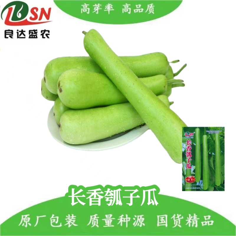 长香瓠子瓜种子肉质细嫩味甜品质优早熟抗病高产适应性广泛
