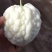 玉凤水果型苹果苦瓜种子清香可口肉厚水分多易种植好管理