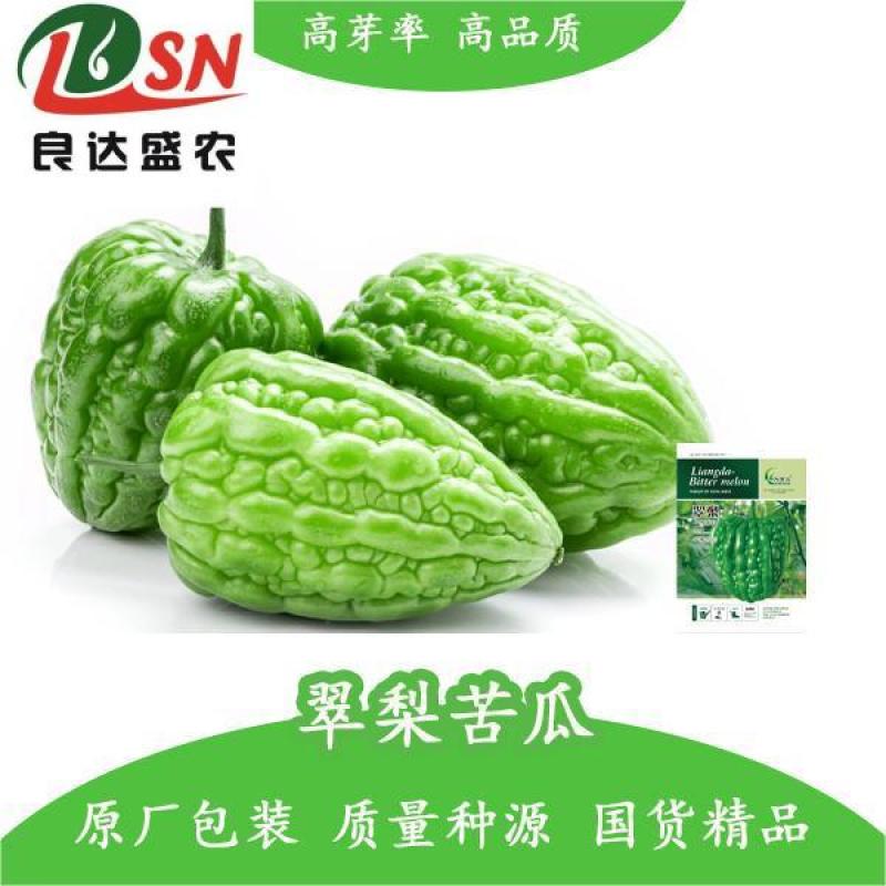 翠梨苹果苦瓜种子美味健康营养口感脱甜多汁肉厚腔小水分多