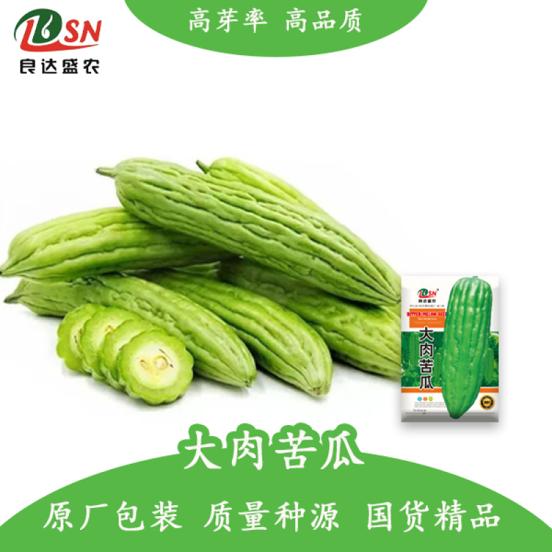 大肉苦瓜种子肉厚早熟抗热耐温耐寒产量高耐贮运分支能力强