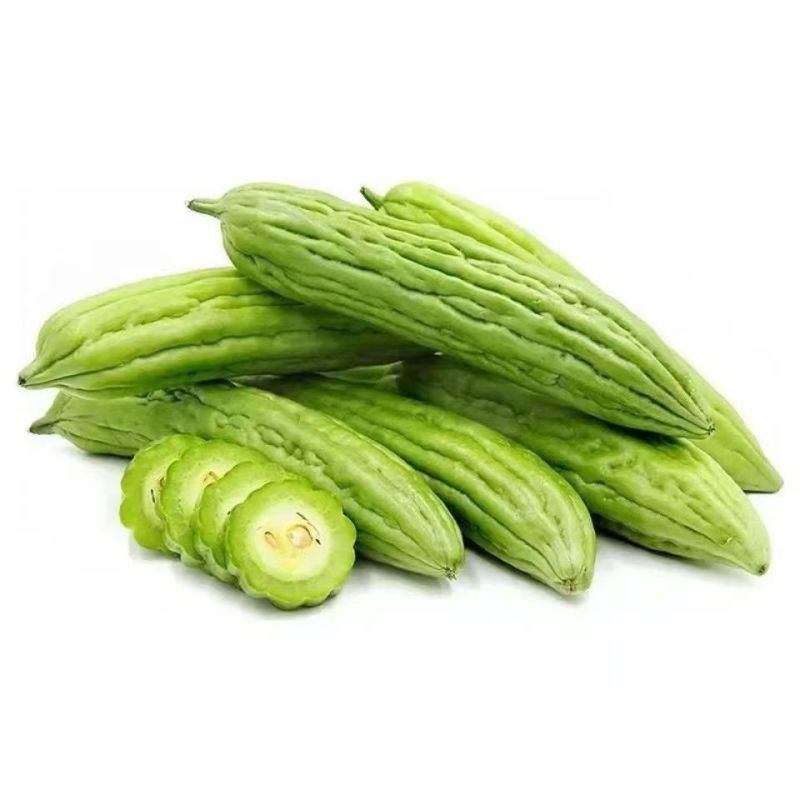 大肉苦瓜种子肉厚早熟抗热耐温耐寒产量高耐贮运分支能力强