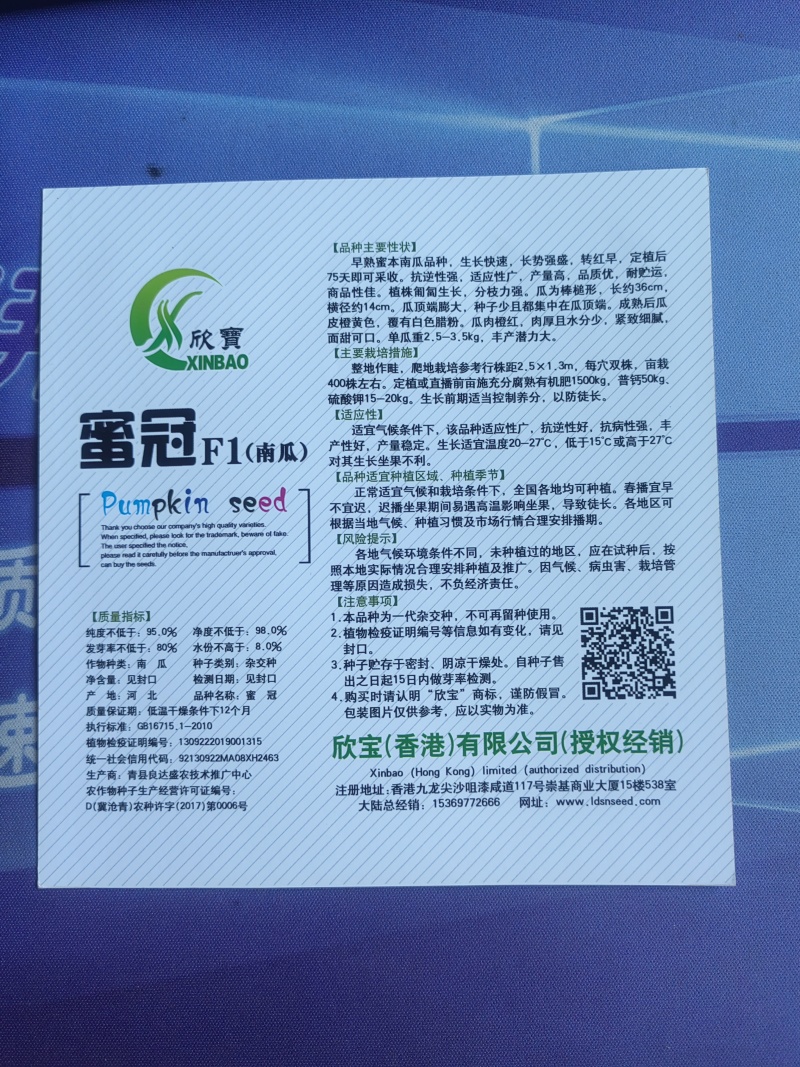 密冠南瓜种子早熟肉厚水分少生长速度快长势强产量高品质优