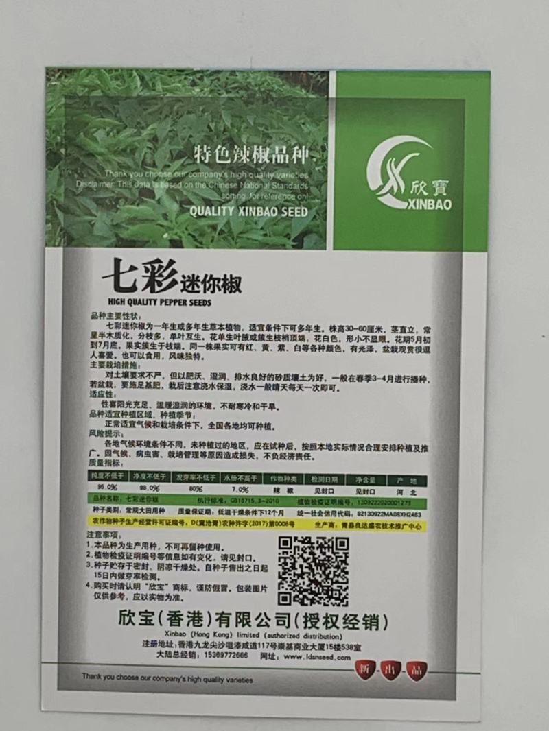七彩迷你椒辣椒种子分支多可食用可观赏易种植好管理