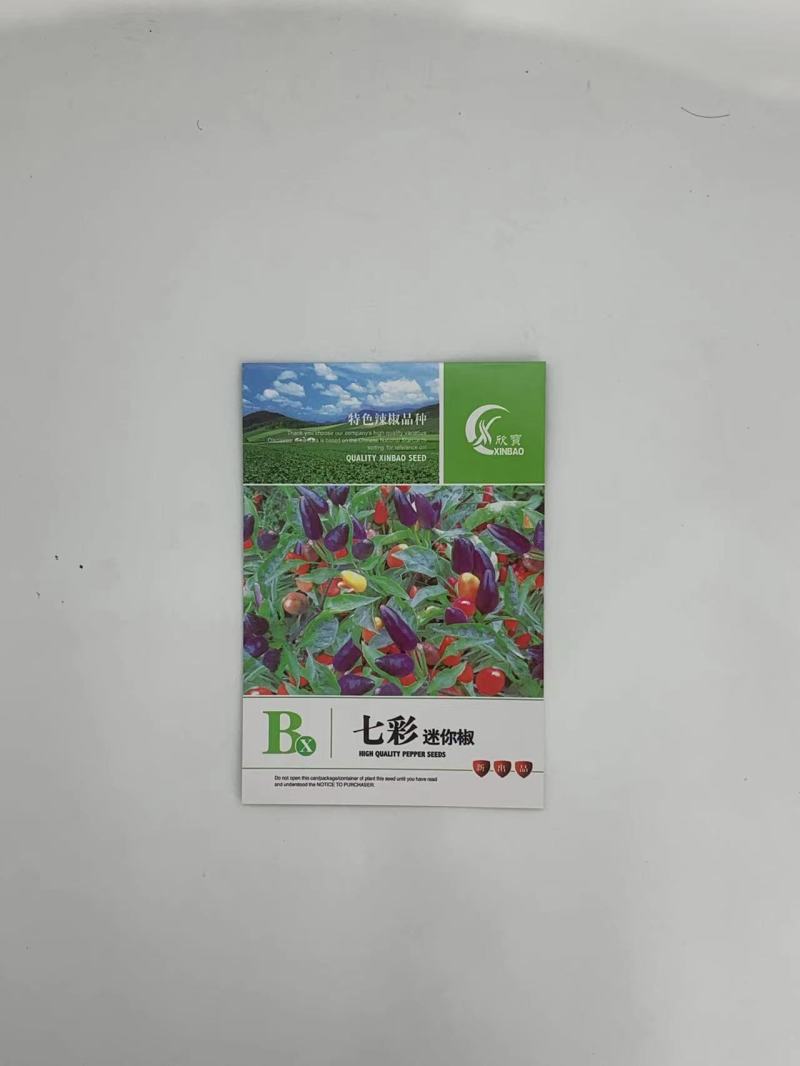 七彩迷你椒辣椒种子分支多可食用可观赏易种植好管理