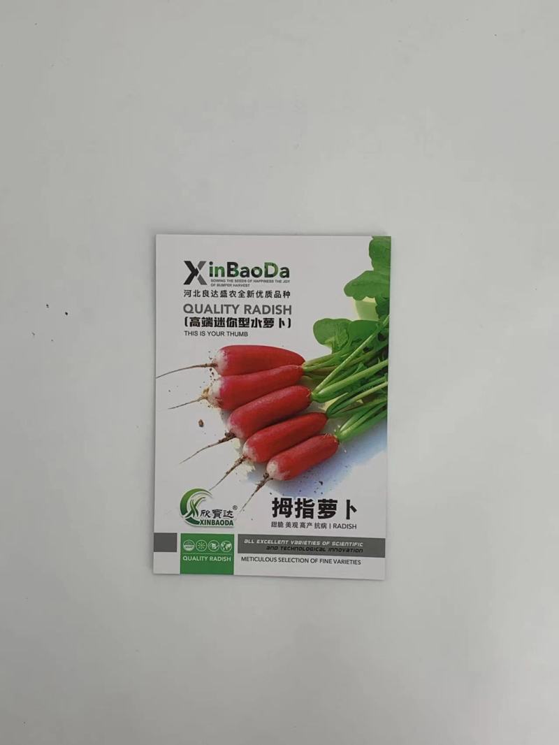 拇指萝卜种子早熟品种生长速度快皮薄质脆倒茬快口感好高产