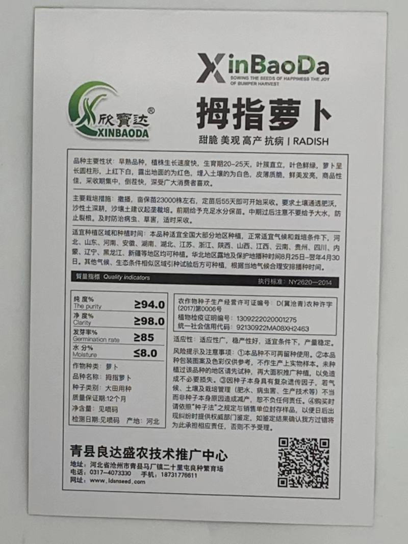 拇指萝卜种子早熟品种生长速度快皮薄质脆倒茬快口感好高产