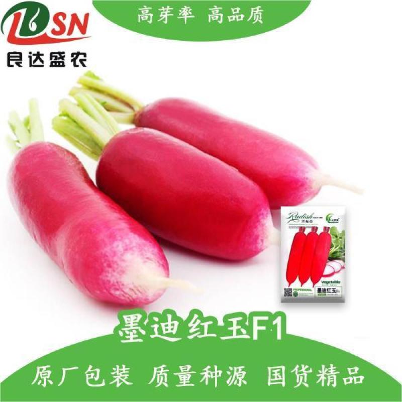 墨迪红玉萝卜种子生长速度快肉质嫩细脆大而不糠抗病耐寒高产