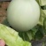 盛农甜宝甜瓜种子皮薄质地细嫩脆清香爽口品质优良易种植