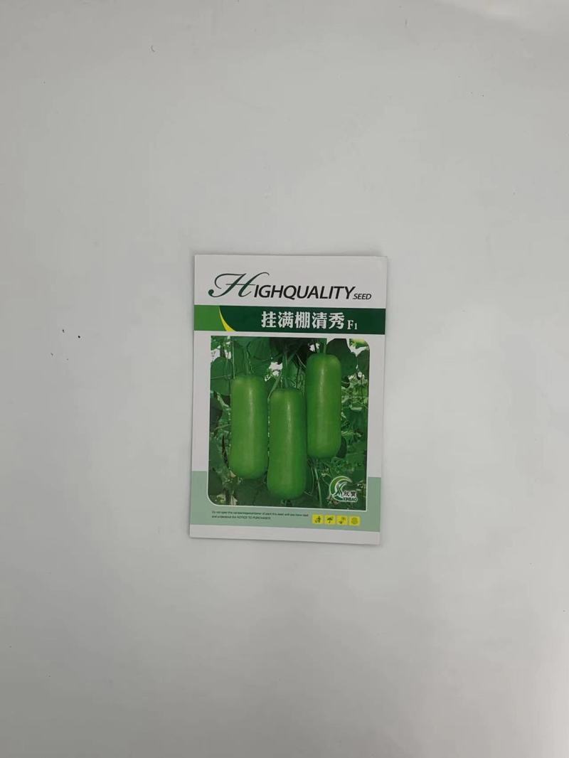 挂满棚清秀瓠子瓜种子生长势强耐热抗病优质高产易种植好管理