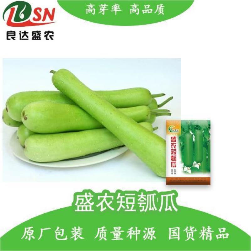 盛农短瓠子瓜种子早熟口感好商品性佳品质优良易种植好管理